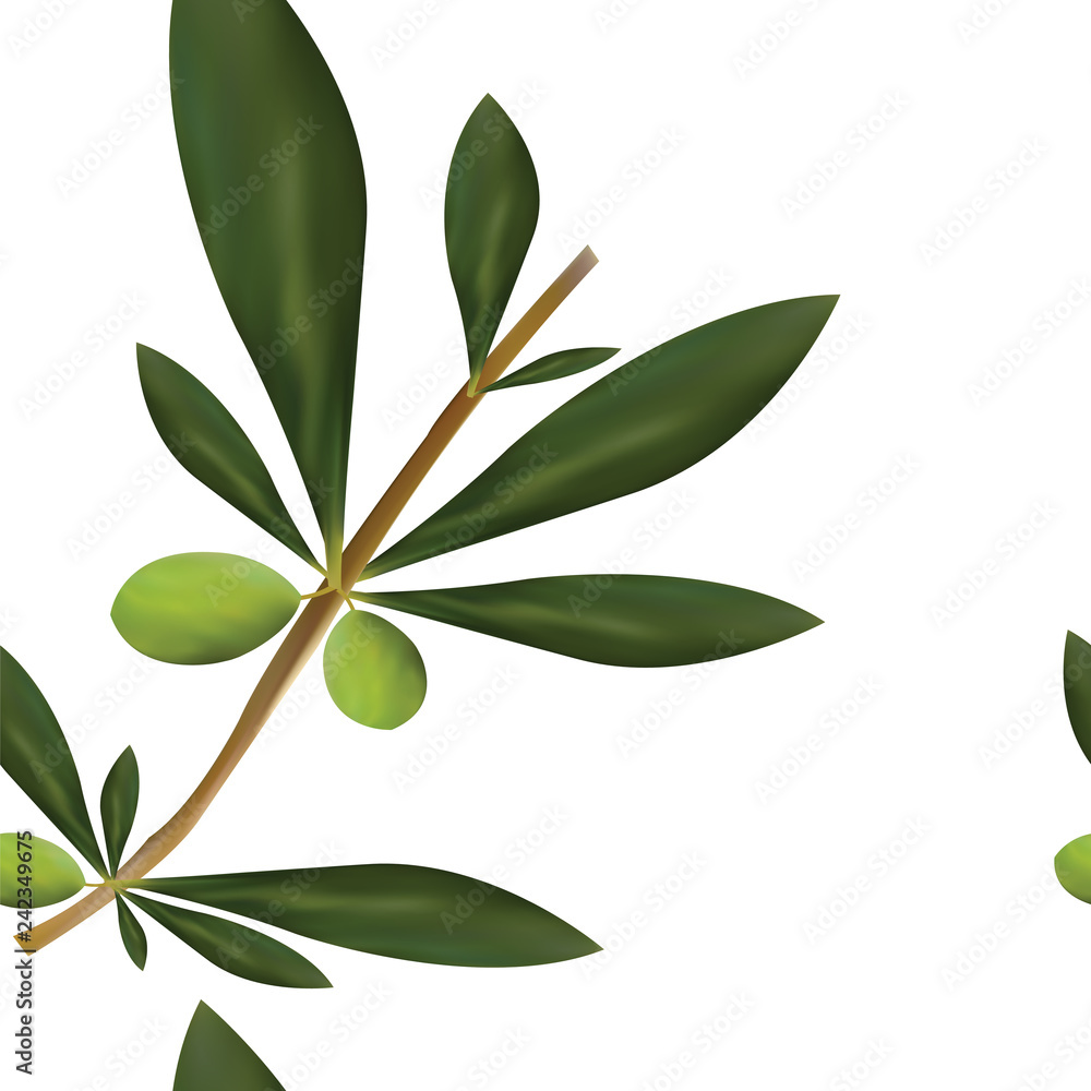 seamless pattern with big olive tree branch vector on white background seamless pattern with big olive tree branch vector on white background