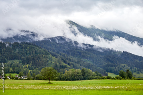 Mountain with green forest and grass fields in Austria