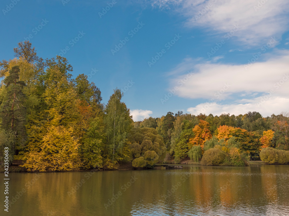 Autumn foliage with water reflection natural landscape Autumn foliage with water reflection natural landscape