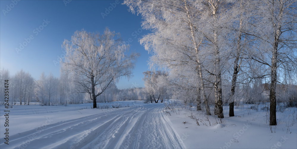 Obraz premium winter landscape with road and trees