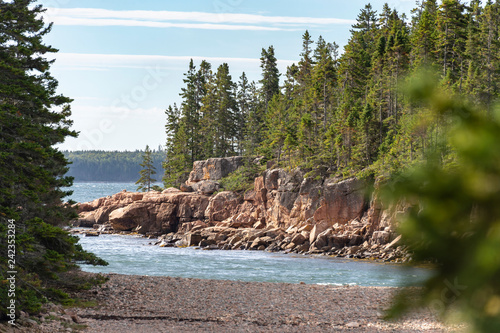 Pines frame jagged bluff on Maine coast