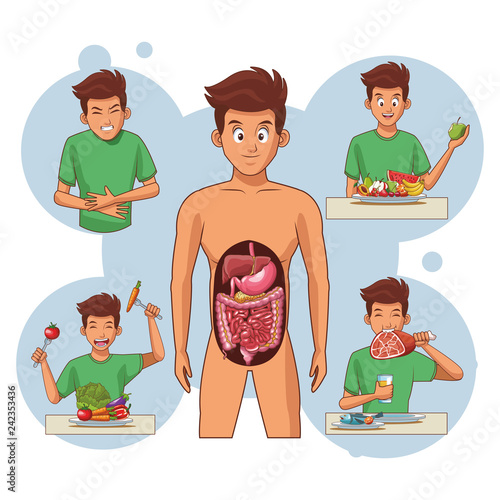 young human body anatomy