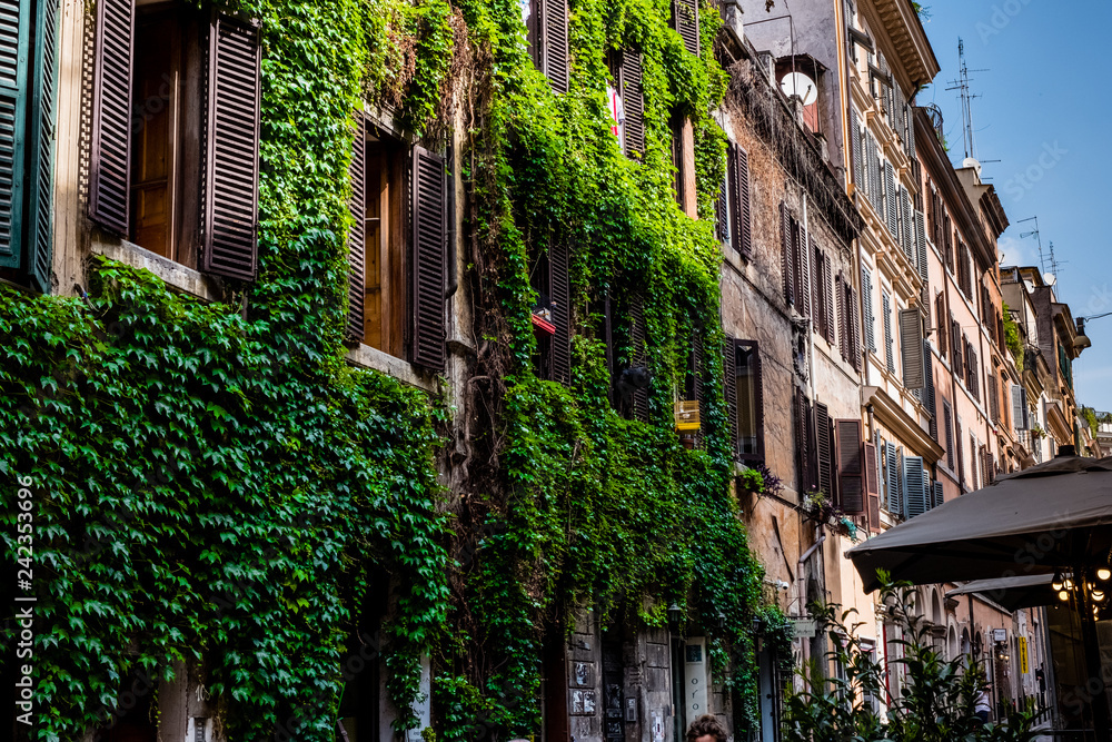 Fototapeta premium green front