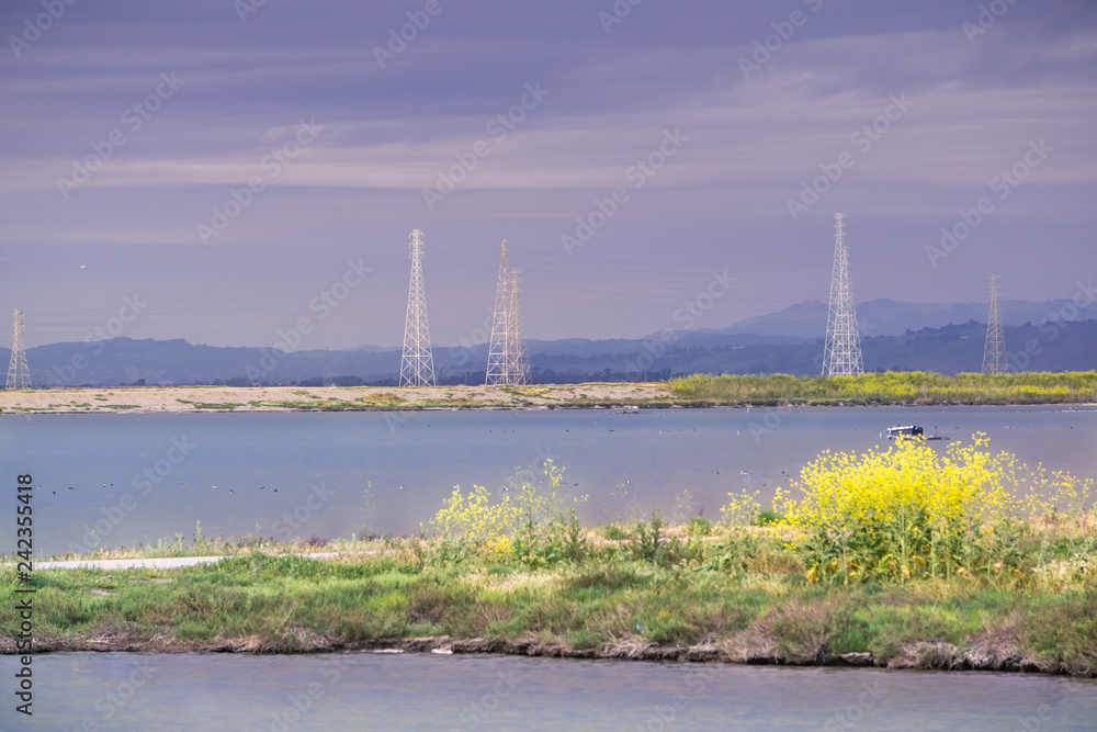 The sun illuminates the wild mustard growing on a levee and the electricity towers on a cloudy and stormy day, Sunnyvale, San Francisco bay area, California