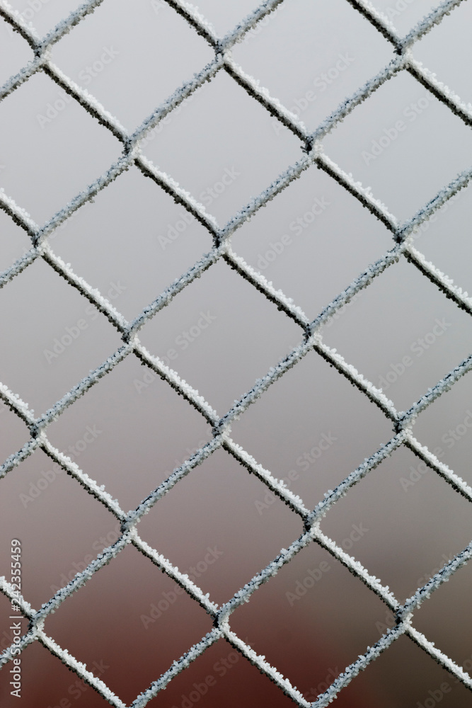 Naklejka premium Close up of a chain link fence covered in a thick