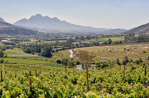 Cape Winelands - Franschhoek Valley