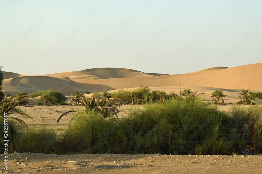 On the way to an adventurous, offroad desert safari in the endless desert near Abu Dhabi, United Arab Emirates.
