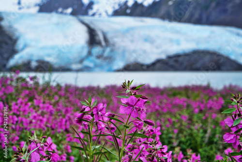 Slika na platnu Portage Valley Glacier in Alaska