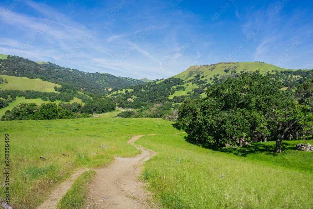 Hiking trail in Sunol Regional Wilderness, San Francisco bay area, California