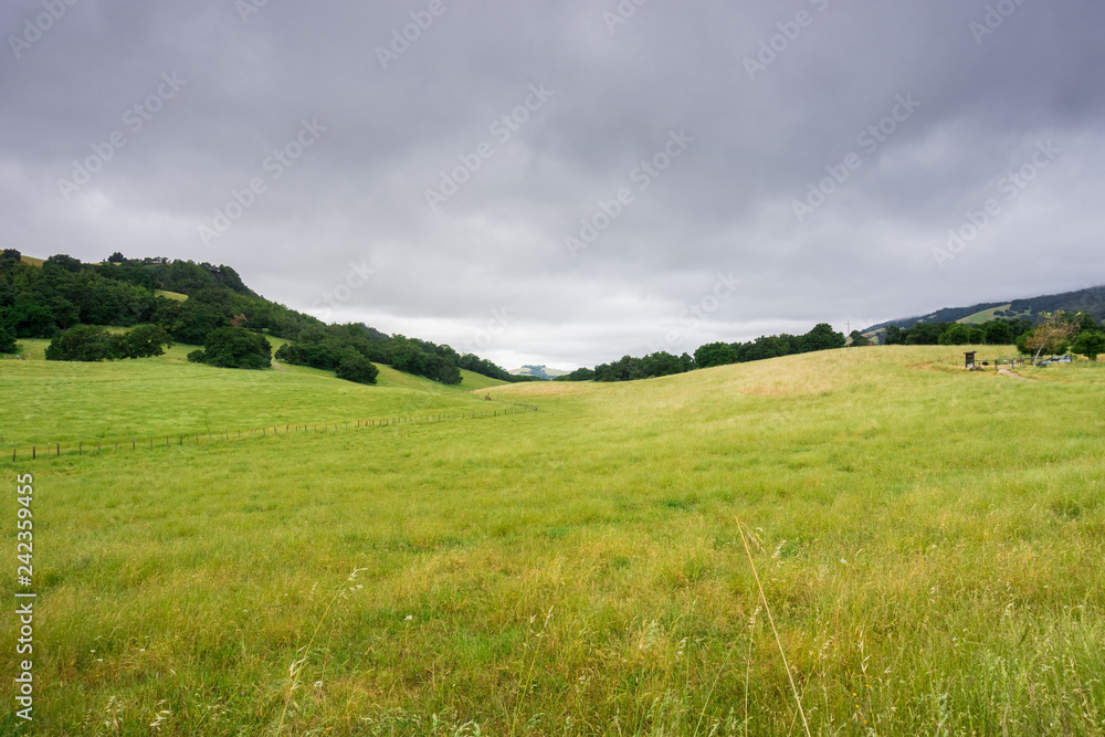 Grasslands in Coyote Lake Harvey Bear Ranch County Park, Gilroy, south San Francisco bay, California Grasslands in Coyote Lake Harvey Bear Ranch County Park, Gilroy, south San Francisco bay, California