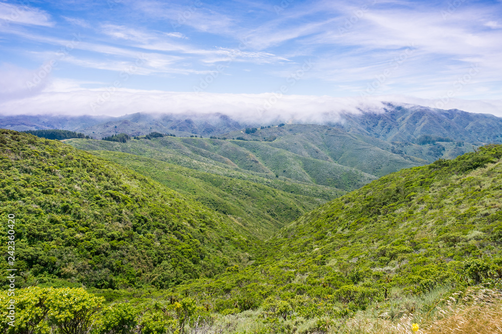 Fog covering the hills and valleys of Montara mountain (McNee Ranch State Park) landscape, California
