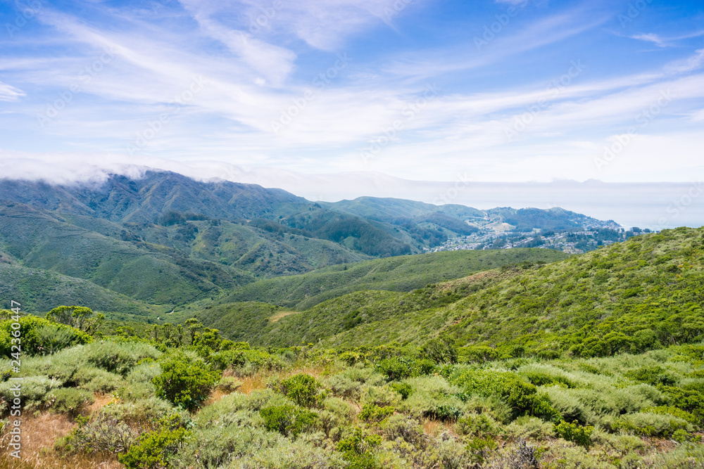 Fog covering the verdant hills and valleys of Montara mountain (McNee Ranch State Park), California