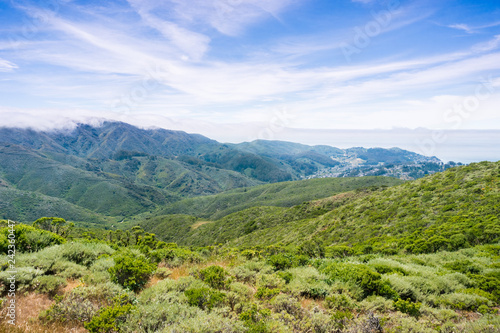 Fog covering the verdant hills and valleys of Montara mountain (McNee Ranch State Park), California