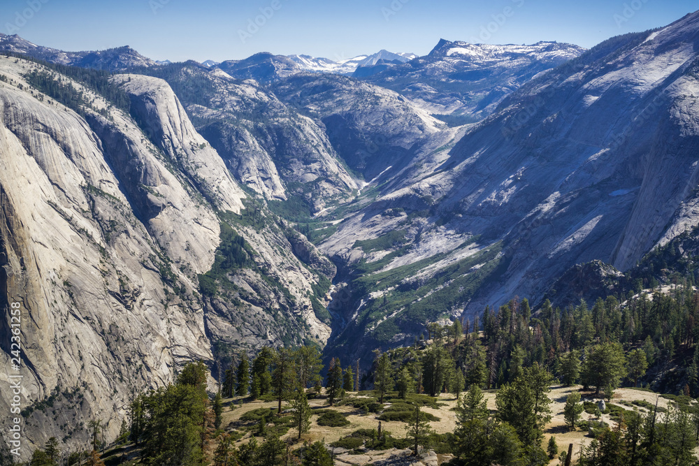 Landscape in Yosemite National Park, California