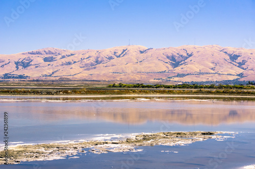 Salt ponds at Alviso Marina County Park  Mission Peak and Monument Peak in the background  San Jose  south San Francisco bay  California