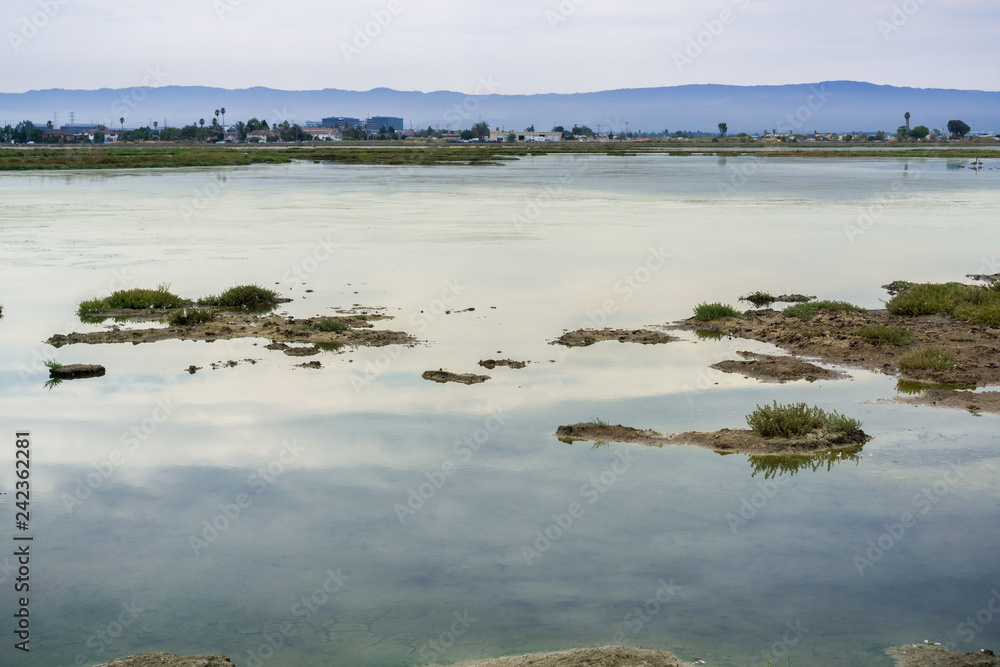 Wetlands in Alviso Marsh, south San Francisco bay, California