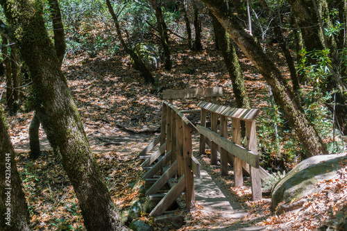 Narrow wooden bridge on a hiking trail  Castle Rock State Park  San Francisco bay  California