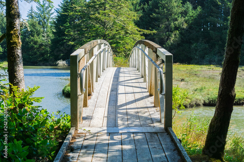 Obraz na plátne White wooden bridge, South Slough National Estuarine Research Reserve, Coos Bay,