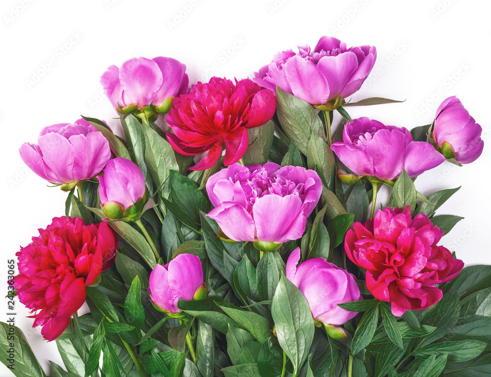 Bouquet of pink peonies isolated on white background. Top view. Flat lay. Bouquet of pink peonies isolated on white background. Top view. Flat lay.