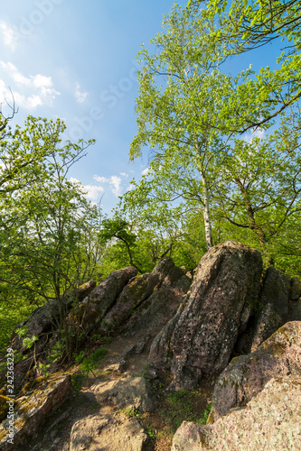 Beautiful green rocky forest while spring day.