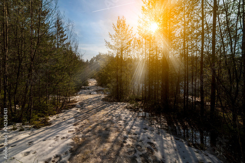 Snowy path while sunset. © Jan