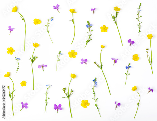 Floral pattern made of meadow flowers isolated on white background. Flat lay. Top view.