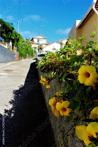 street in the village