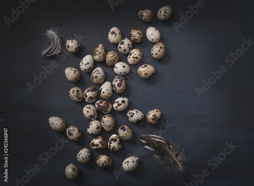 Eggs still life, minimalism, black background. Quails eggs on dark background copy space. © travelbook