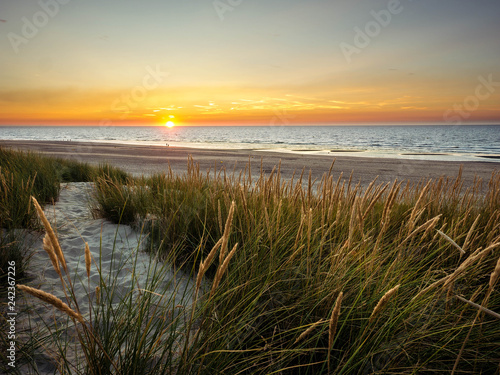 Fototapeta Naklejka Na Ścianę i Meble -  Sun setting in the sea in front off colorful marram grass covered dunes in northern France