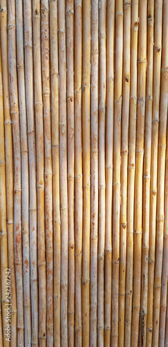 Fototapeta Naklejka Na Ścianę i Meble -  bamboo surface pattern 