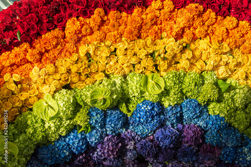 arrangement of flowers in a rainbow of colours