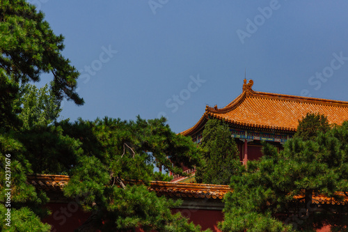 Traditional Chinese architecture behind trees  in Forbidden City  under blue sky  in Beijing  China