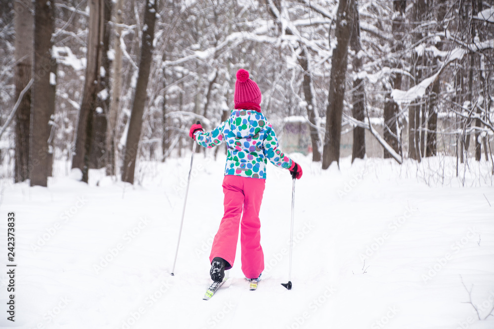 little girl cross-country skiing in the winter forest in the snow
