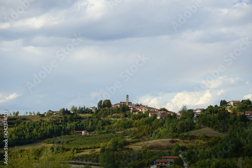 Hill of the Langhe with Serravalle d'Alba