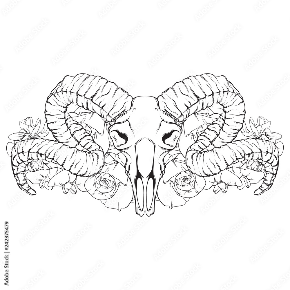 Vector hand drawn illustration. Artwork with skull of ram, flowers. Alchemy, religion, spirituality, occultism, tattoo art. Template for postcard, banner, poster, print for t-shirt. Vector hand drawn illustration. Artwork with skull of ram, flowers. Alchemy, religion, spirituality, occultism, tattoo art. Template for postcard, banner, poster, print for t-shirt.