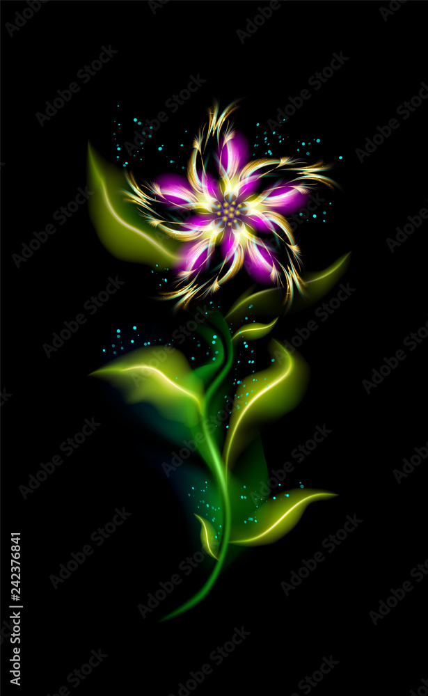 Colorful glowing pink flower. Modern ornamental floral garden in black background. Beautiful trendy illuminated ornaments with decorative luxury glow for your design in vector illustration