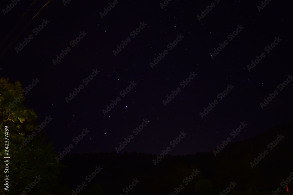 Obraz premium food, bar, natal, forest