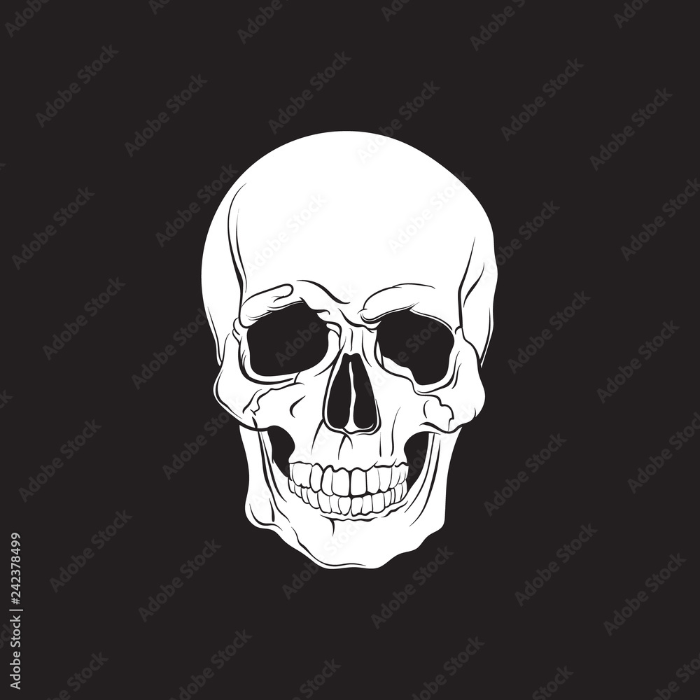 Vector illustration of human skull isolated in hand drawn realistic style. Template for business card poster flyer and banner.