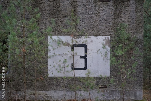 Painted Number 3 Three on concrete wall on an abandoned summer camp house with tree saplings