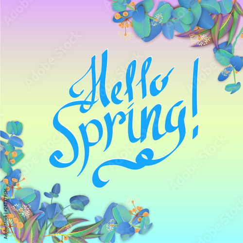 Spectrum hello spring background with beautiful eucalyptus blossom.