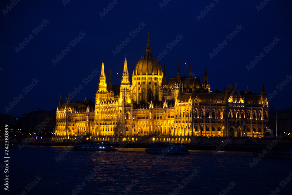 Night landscape in gothic Budapest