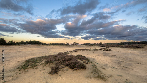 Sunset over sand dunes Hoge Veluwe photo