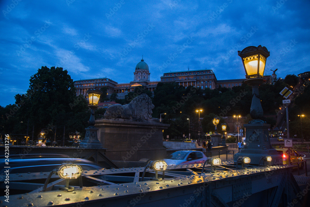 Naklejka premium Night landscape in gothic Budapest