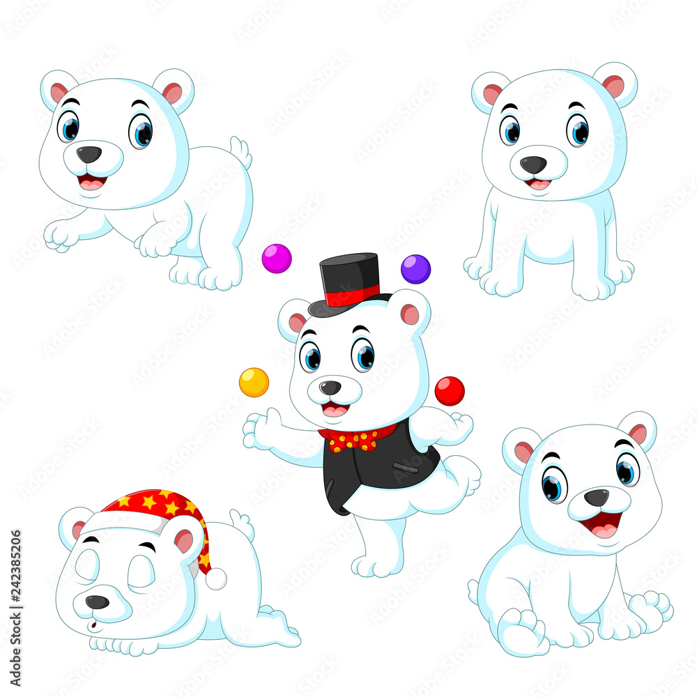 the collection of the white circus bear playing with the ball with the diferent posing the collection of the white circus bear playing with the ball with the diferent posing