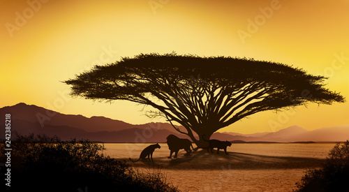 Fototapeta Naklejka Na Ścianę i Meble -  Silhouettes of african with lion animals