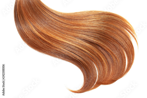 Red hair, isolated on white background. Long ponytail