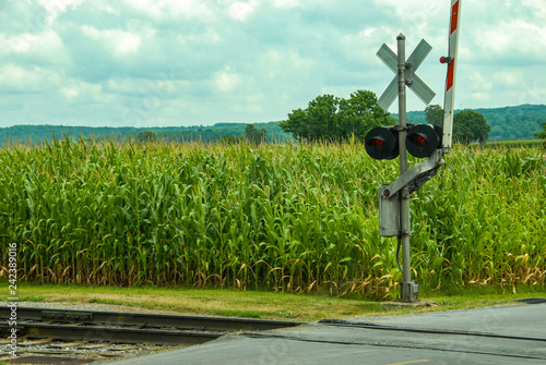 Rail Road Tracks Waiting for a Train photo