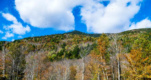 Mountains with Sky Lifts in Off Season photo