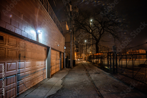 Dark city alley with car garage doors and a scary tree at night in Chicago