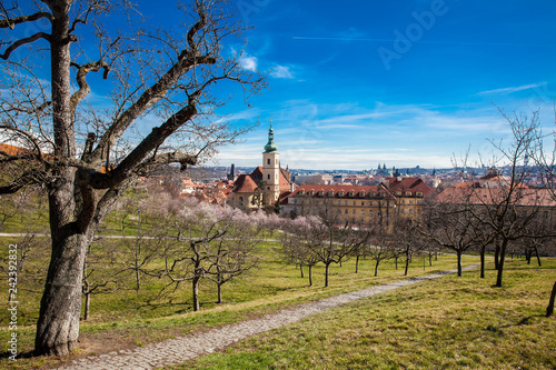 Prague city seen from the Petřín Gardens at the begining of spring